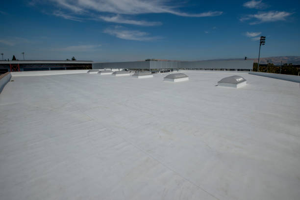Best Steel Roofing  in Madison, AL
