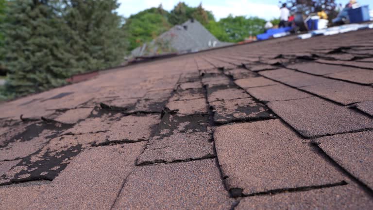 Best Roof Leak Repair  in Madison, AL