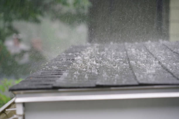 Best Solar Panel Roofing Installation  in Madison, AL