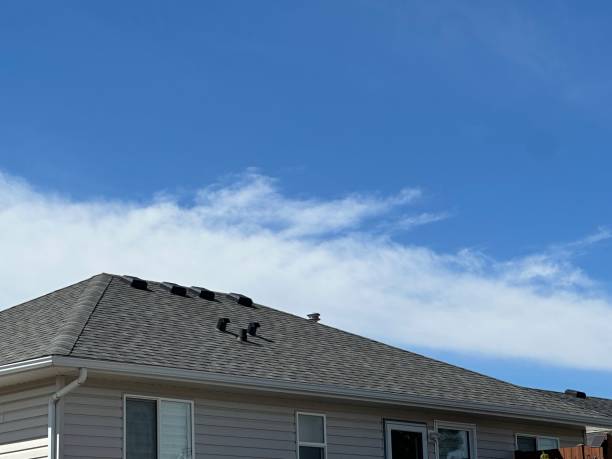 Best Asphalt Shingles Roofing  in Madison, AL