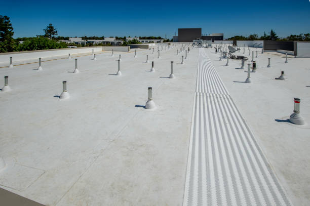 Best Skylight Installation and Repair  in Madison, AL